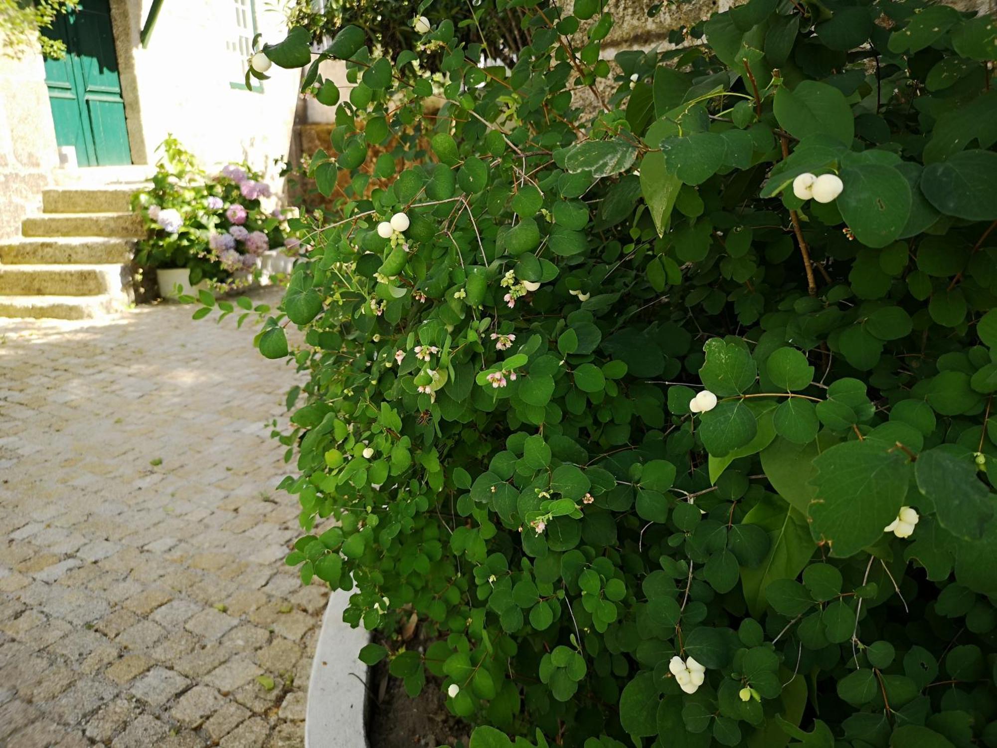 Villa Refugio De Calheiros Covilhã Esterno foto