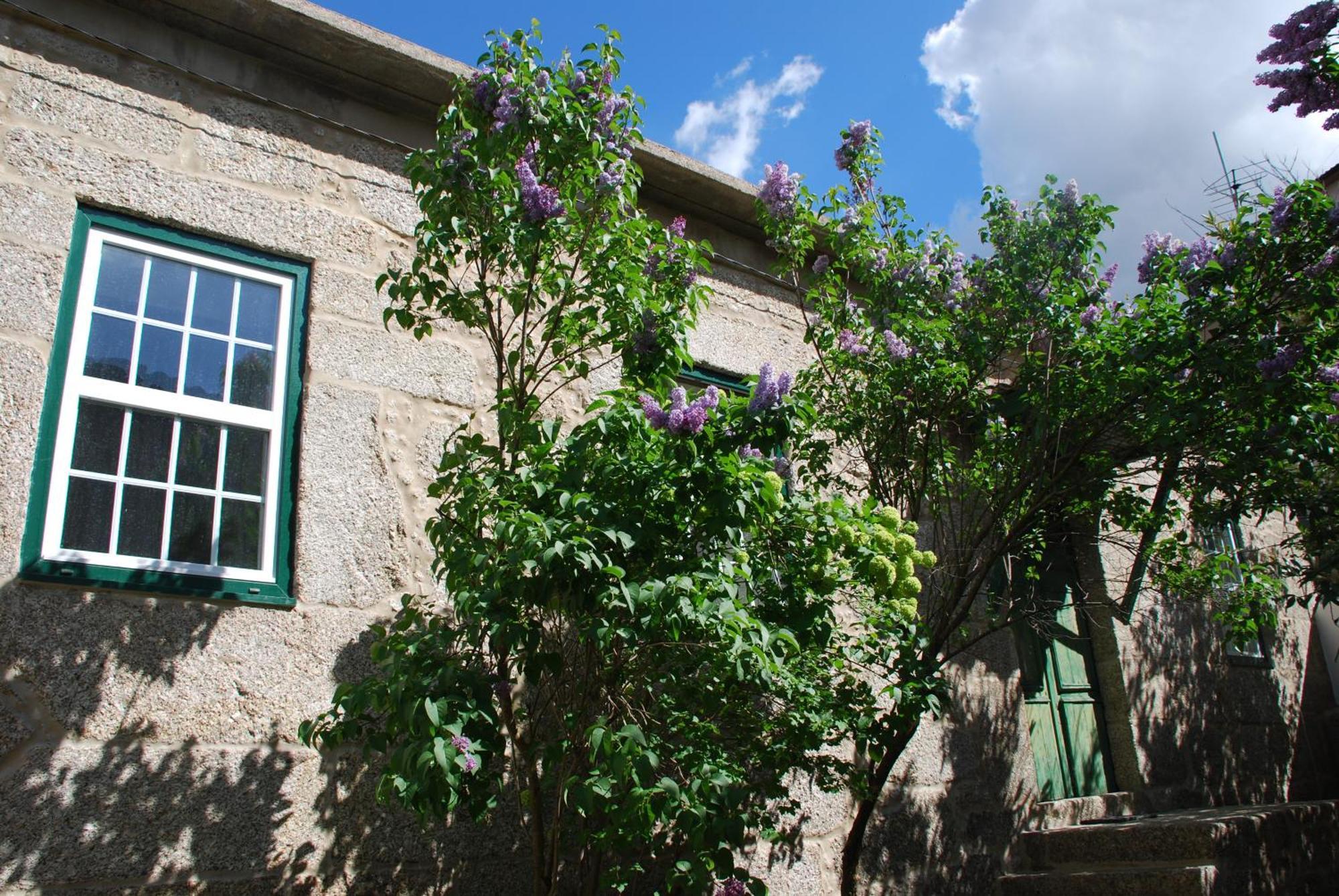 Villa Refugio De Calheiros Covilhã Esterno foto
